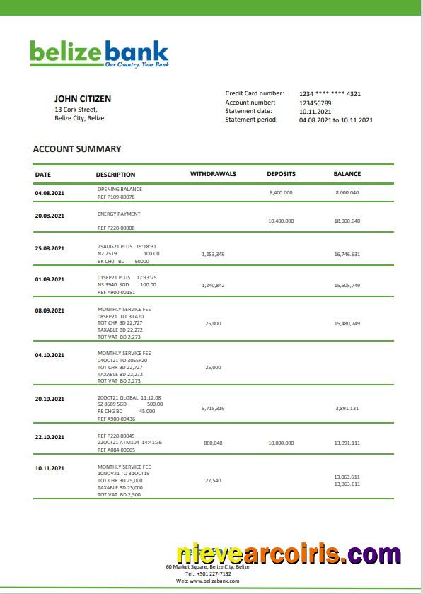 Belize bank statement in Word and PDF format, fully editable